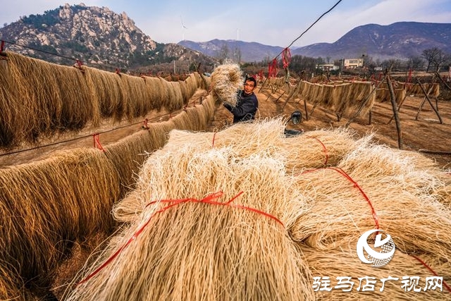 粉条搭起致富桥 ——走进驻马店驿城区板桥镇口门村黑石山自然村许学用的粉条加工点