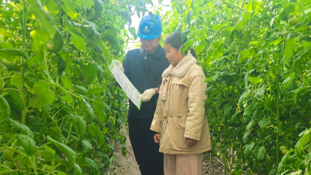 国网新蔡县供电公司：电力靠前服务守护群众“菜篮子”