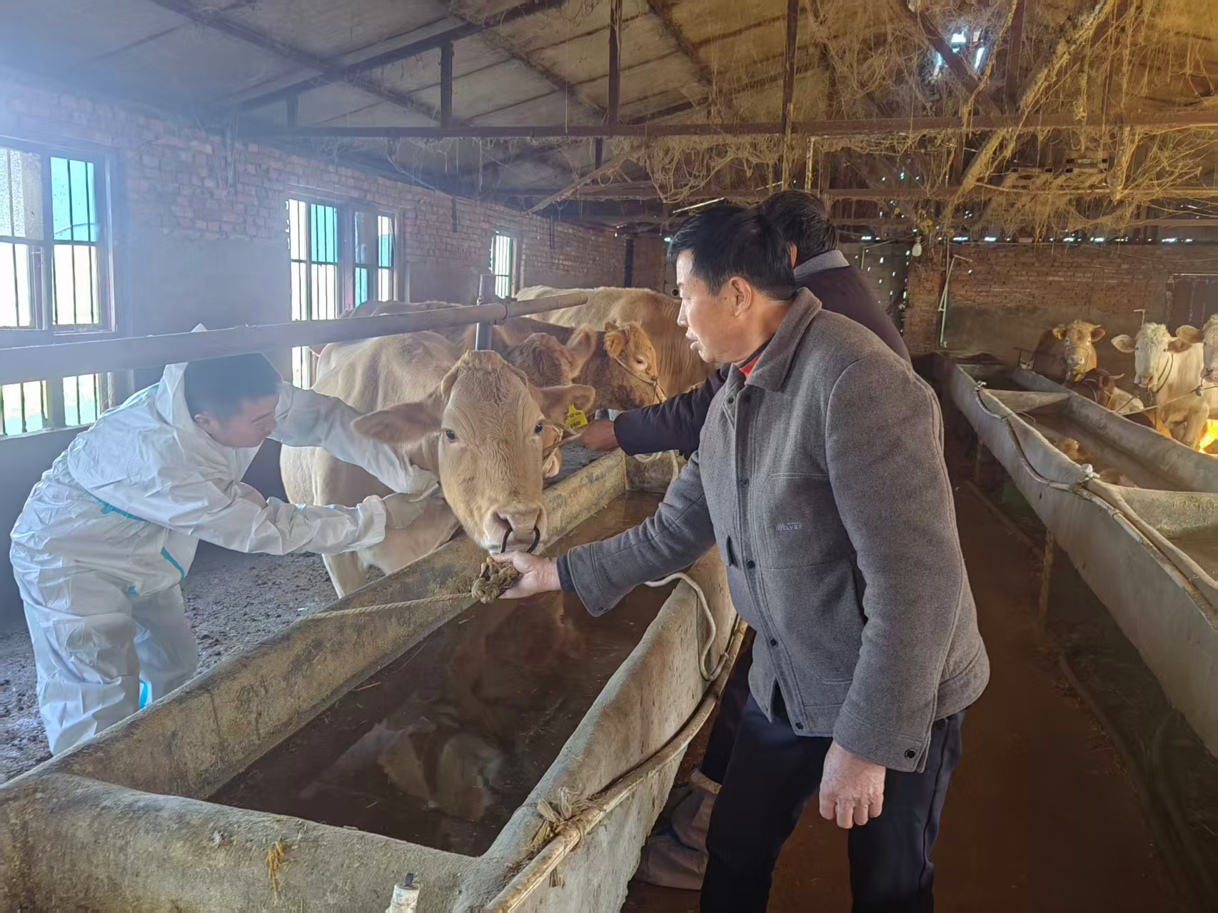 驻马店市动物疫病防疫检疫中心发布12月份动物疫病预警预报信息