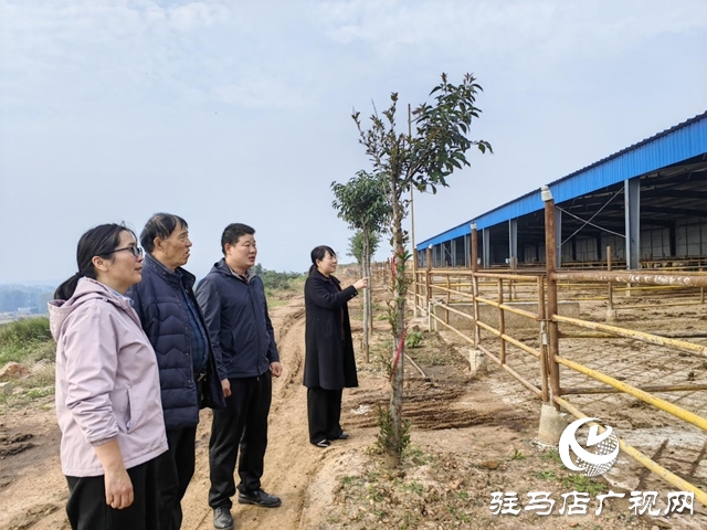 陶庄村：“五星”支部强引领 筑牢堡垒促振兴