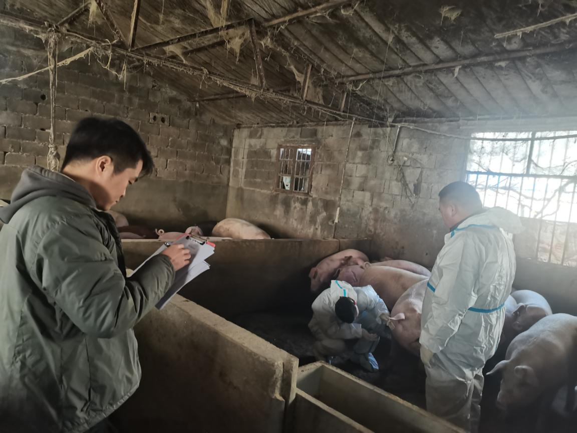 驻马店市动物疫病防疫检疫中心发布12月份动物疫病预警预报信息