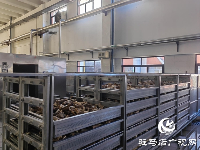 龟鹿药业吹响年度目标“冲锋号”