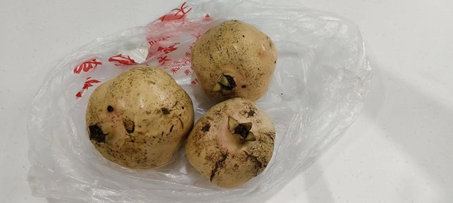 十二载仁心守护，三颗石榴见证医患情深