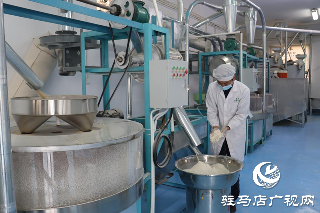 驻马店市驿城区:石磨转出新动能 特色产业绘就乡村振兴新图景