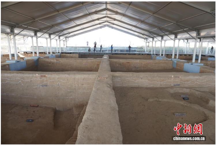 探访大河村国家考古遗址公园