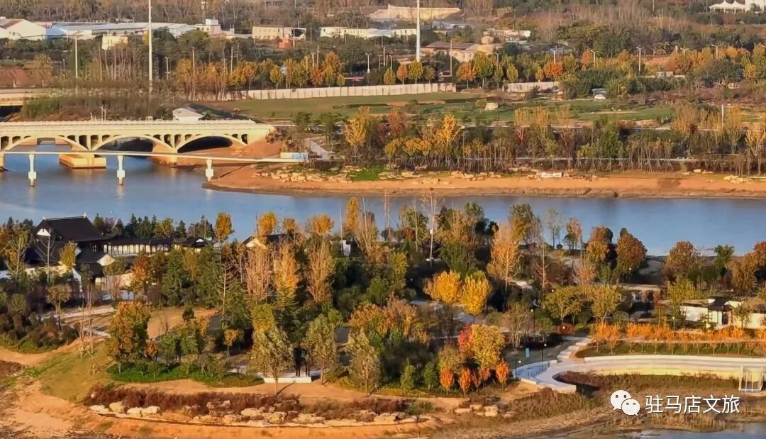 家门口的练江湖，藏着一片会“燃烧”的森林！