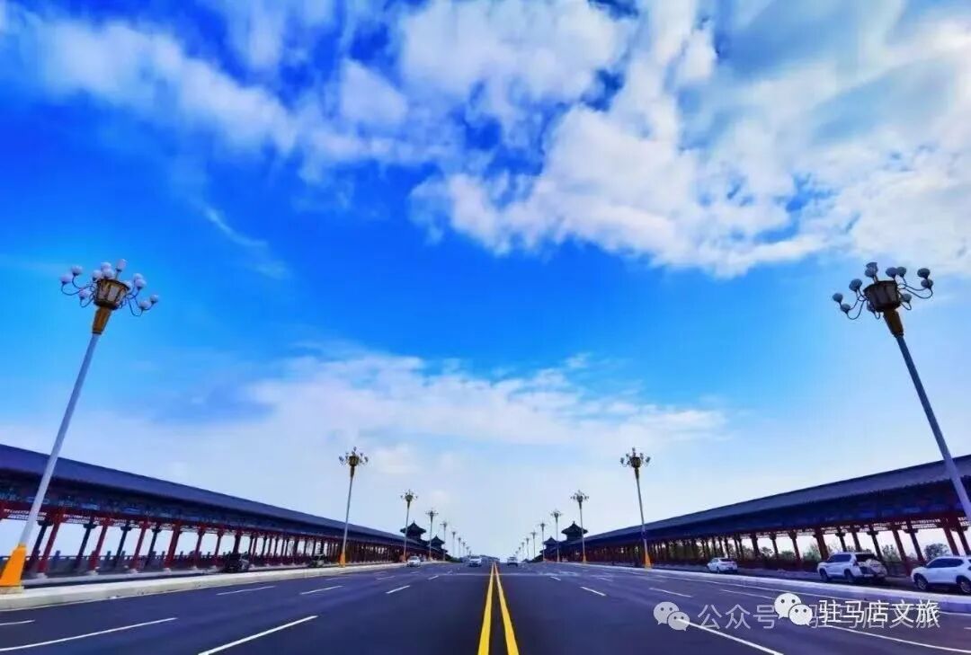 家门口的练江湖，藏着一片会“燃烧”的森林！