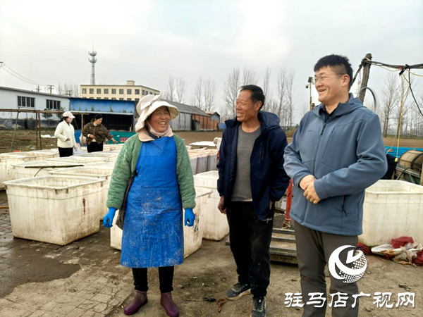 平舆县郭楼街道前店村:让乡村产业添“薯”光