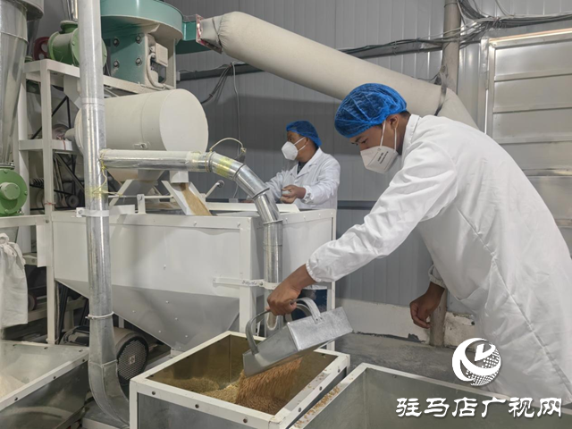 驻马店市驿城区:石磨转出新动能 特色产业绘就乡村振兴新图景