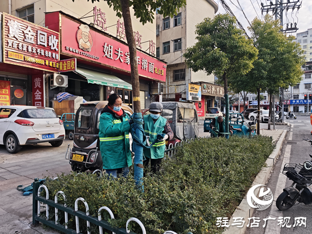  开发区城市管理事务中心给树木“穿冬装” 温暖过冬添景色