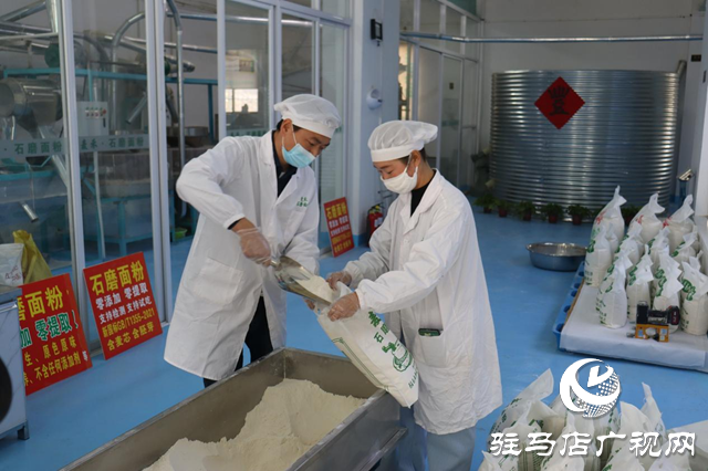 驻马店市驿城区：石磨转出新动能 特色产业绘就乡村振兴新图景