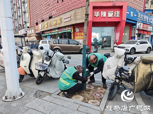  开发区城市管理事务中心给树木“穿冬装” 温暖过冬添景色