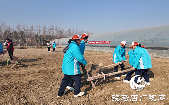 驻马店市第四中学开展“徒步乡野 探秘农耕,感悟成长”研学活动