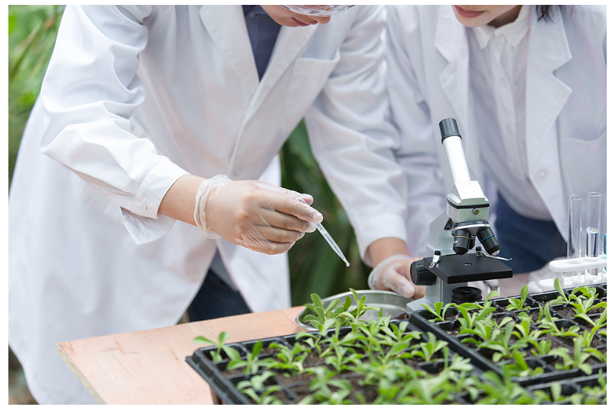 经济大省挑大梁｜河南这样拼未来