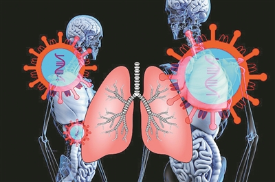 新方法可批量生产微型肺类器官