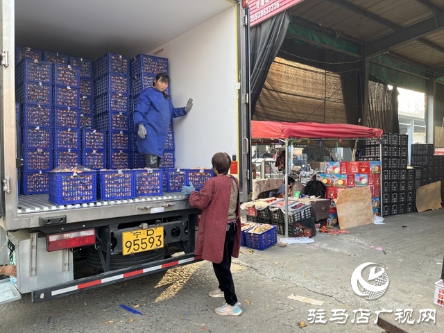 冬令水果扎堆上市 本月中下旬价格有望进一步回落