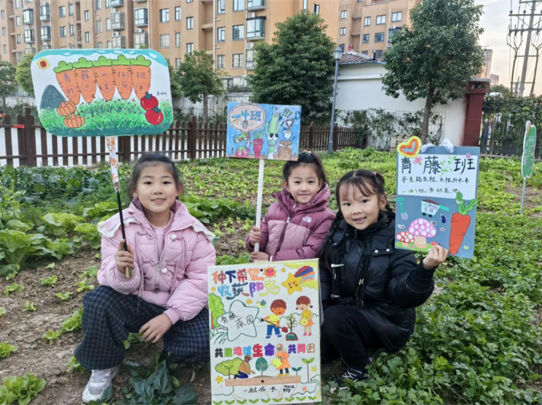  耕耘乐土 收获成长——驻马店经济开发区金雀路小学劳动基地趣味实践之旅