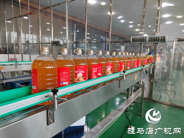 遂平县:科技创新赋能食品产业高质量发展