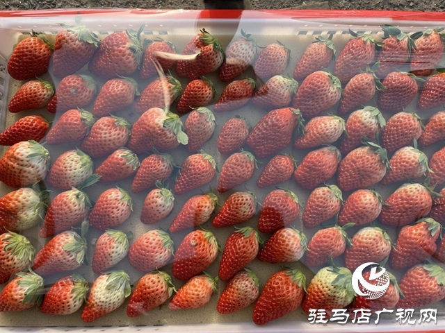 冬令水果扎堆上市 本月中下旬价格有望进一步回落