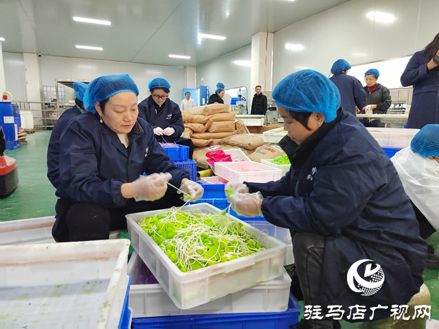 河南杞乐生物科技：多维发力备战双十二 带动本土特色产业提质升级