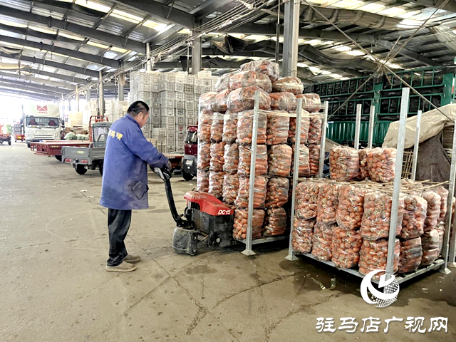 驻马店市众信农副产品综合批发市场:全力应对寒潮天气 保障冬季蔬菜供应