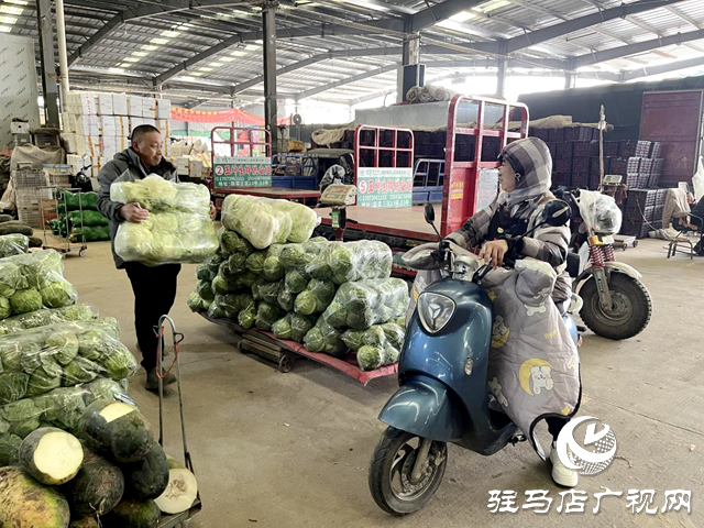 驻马店市众信农副产品综合批发市场:全力应对寒潮天气 保障冬季蔬菜供应