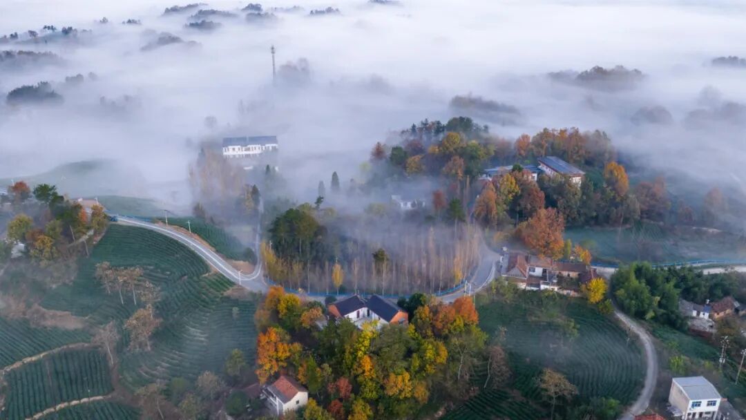 美！河南冬景上新啦