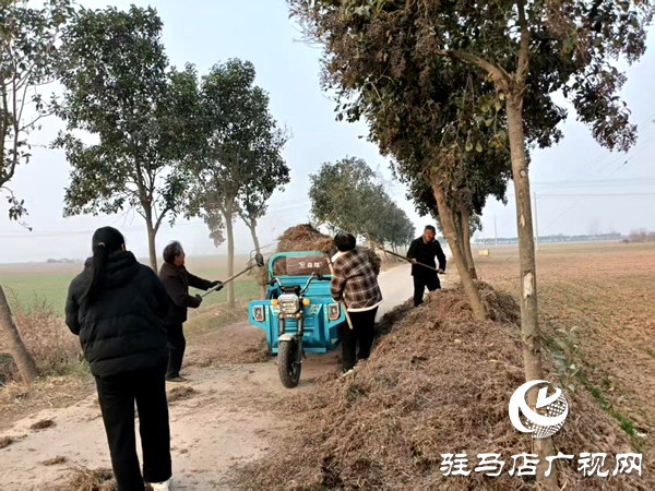 平舆县射桥镇:高位部署抓落实 秸秆清运护蓝天