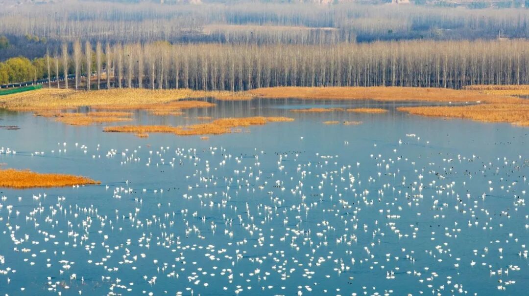 美！河南冬景上新啦