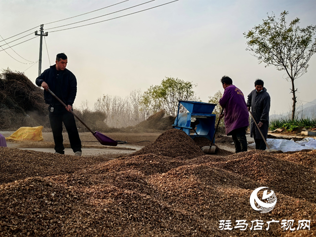 泌阳县黄山口乡:以“草”为笔,点草成金