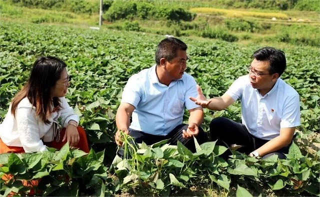 7000 亿里程碑背后:中国人寿锚定国之大者,书写金融为民时代答卷