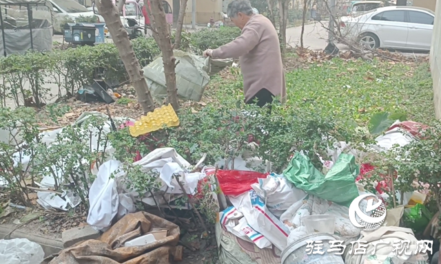 飞龙小区拾荒乱象引争议 多方协力整治除隐患