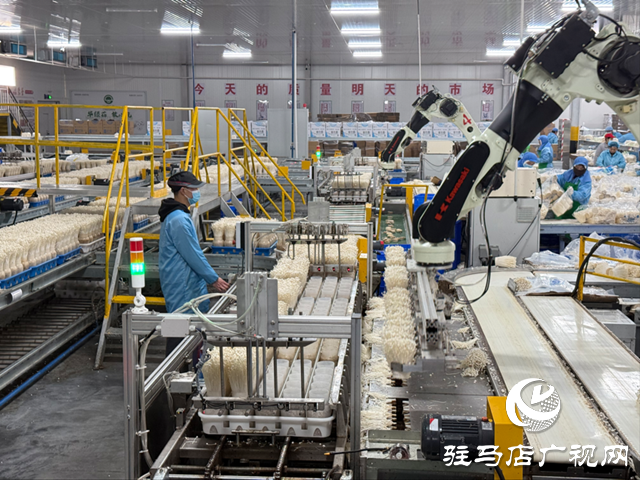 华绿生物科技:智能生产引领 循环模式增效