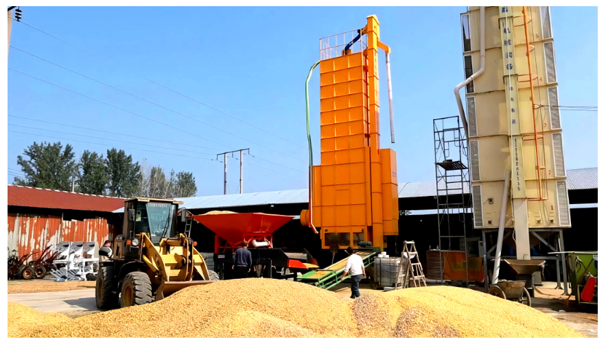 粮食总产量1350.98亿斤 河南丰收不易担当更重