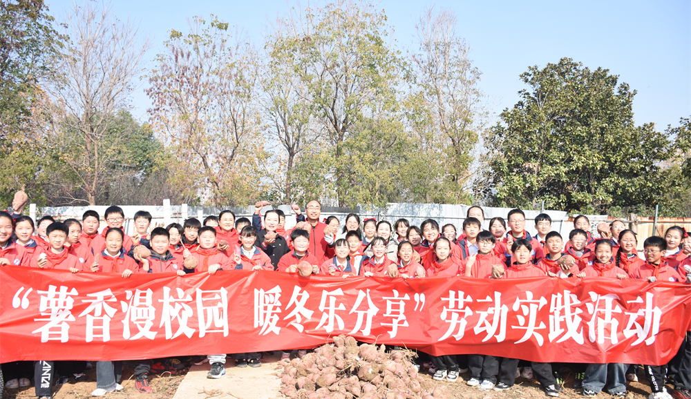  薯香漫校园 暖冬乐分享——驻马店第二实验小学开展劳动实践活动