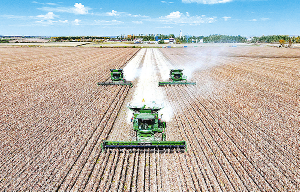 超1.4万亿斤!2025年全国粮食实现丰收