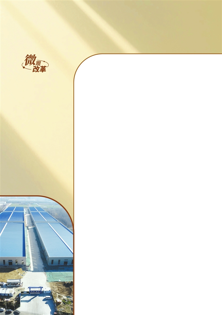 河南深化土地要素市场化配置改革,全面推行“交地即发证”