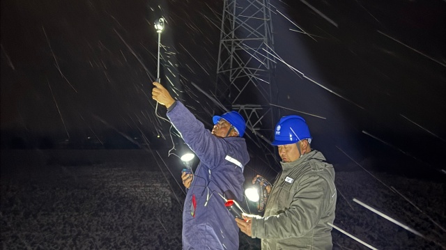 国网泌阳县供电公司：踏雪巡线护光明 寒夜坚守暖万家