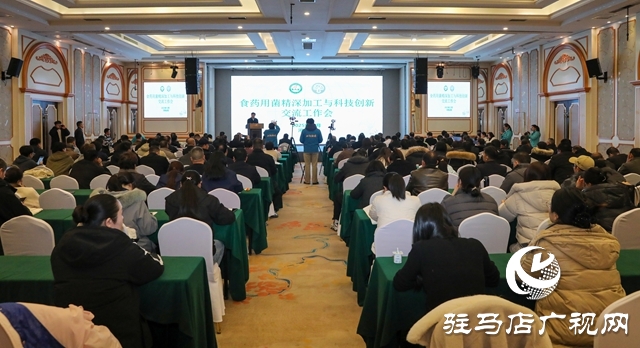 泌阳迎菌业年度盛会 聚智赋能绘就产业升级新蓝图