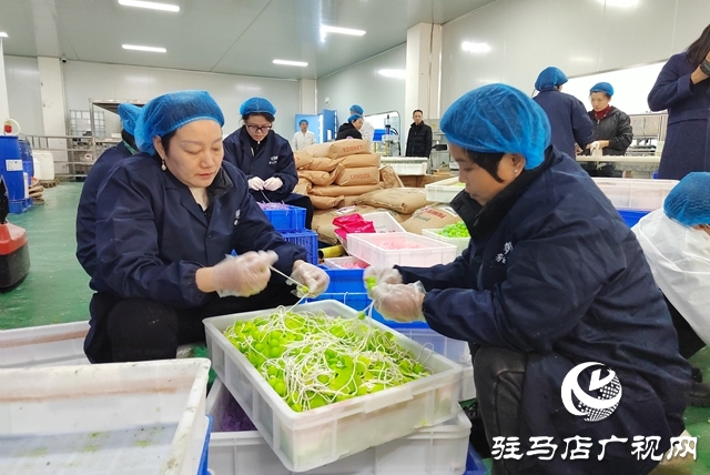 国家级盛会搭台赋能 杞乐生物科技借势腾飞