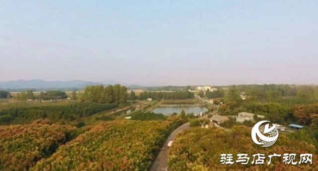 驿城区老河乡被评为“美丽中国·深呼吸小镇”