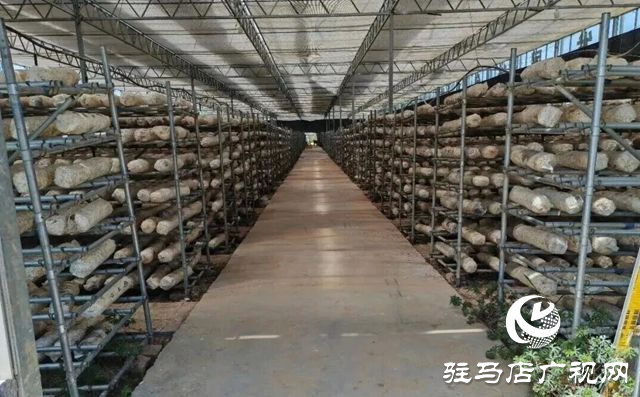 驿城区老河乡被评为“美丽中国·深呼吸小镇”