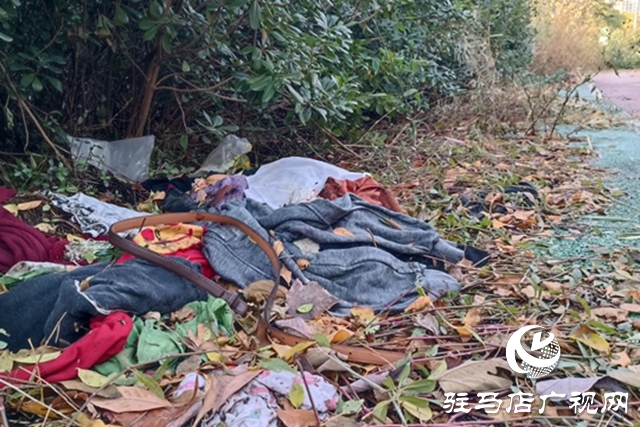 绿地&ldquo;失管&rdquo;变&ldquo;失颜&rdquo; 驿城大道沿线绿化带卫生堪忧