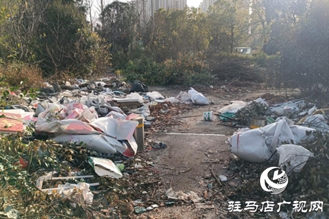 绿地&ldquo;失管&rdquo;变&ldquo;失颜&rdquo; 驿城大道沿线绿化带卫生堪忧