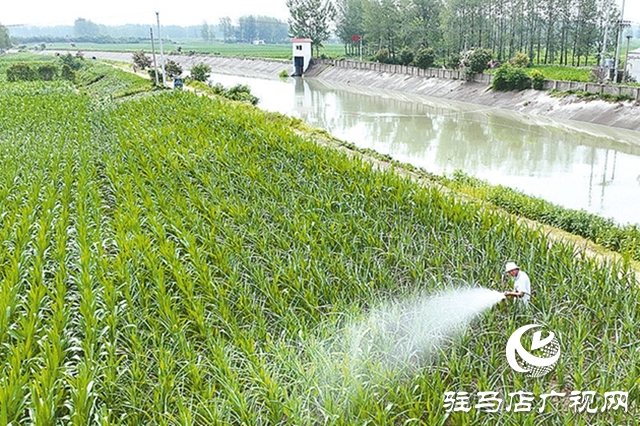 驻马店：筑牢水安全屏障 绘就生态新画卷