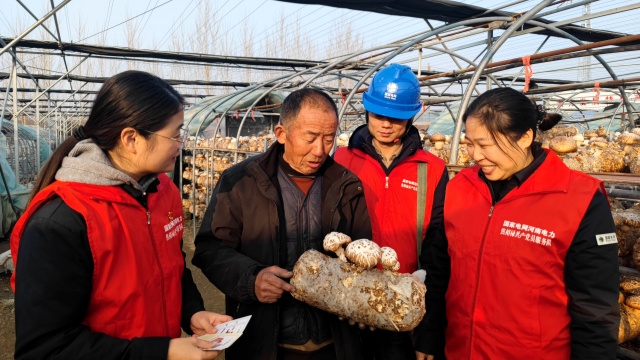 国网泌阳县供电公司：党建引领优服务 电力护航兴产业