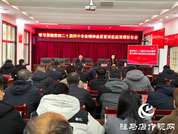 平舆县庙湾镇：学习贯彻党的二十届四中全会精神