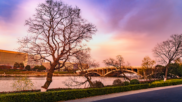 县区动态 | 金辉染玉带 树影绘冬卷