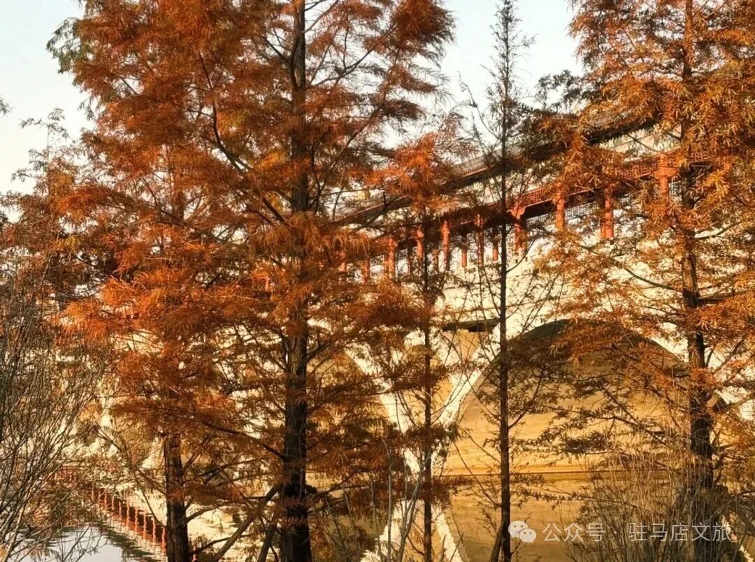 全部免费！在驻马店，收藏冬日的第一缕暖阳