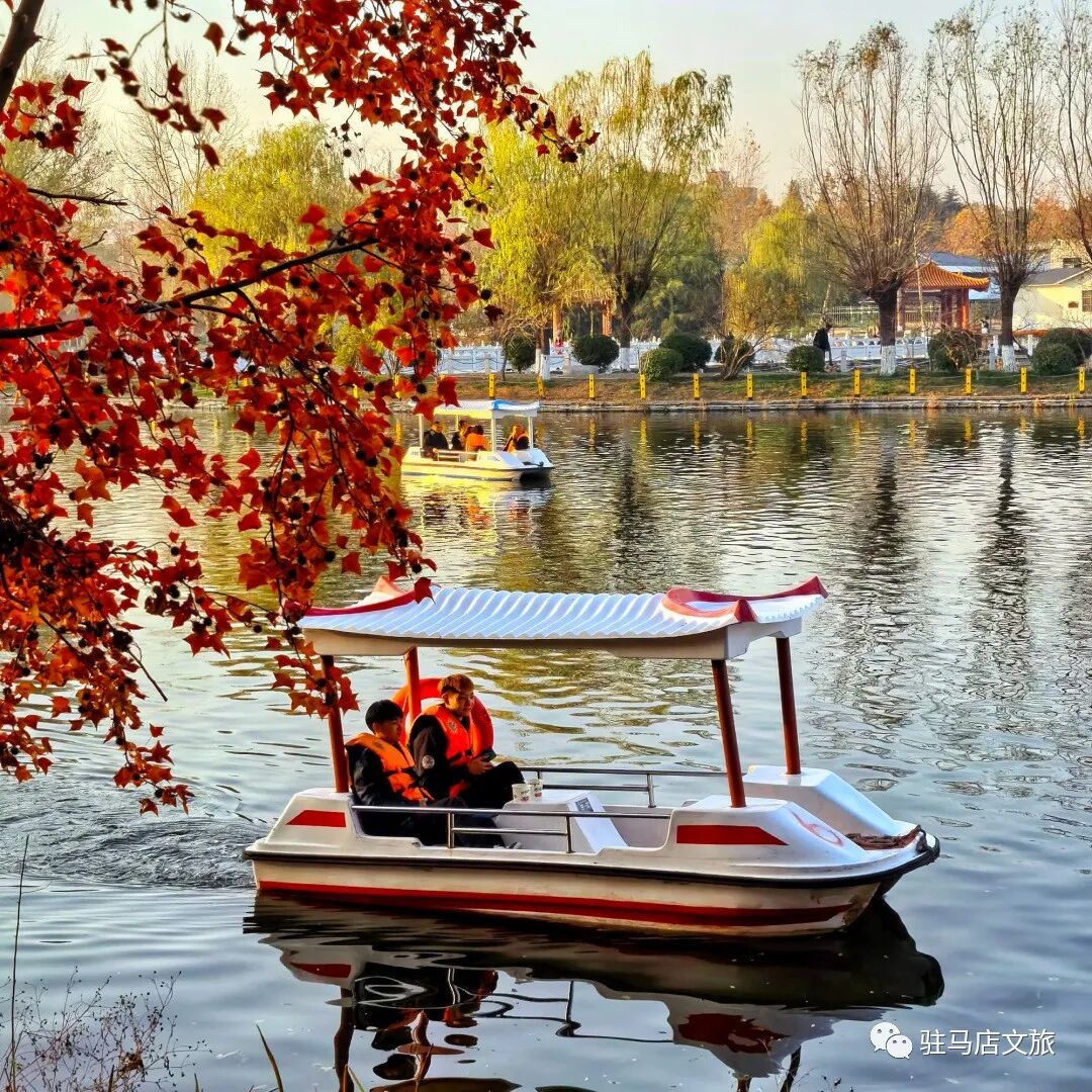 全部免费！在驻马店，收藏冬日的第一缕暖阳